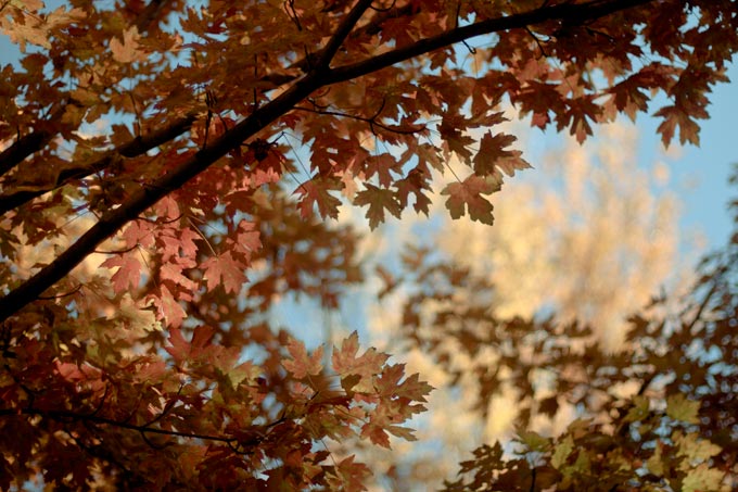 Fall In Denver 2011